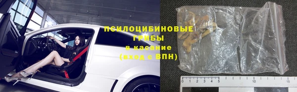 винт Осташков