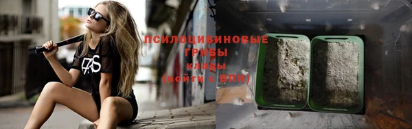 дурь Пересвет