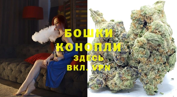 дурь Пересвет