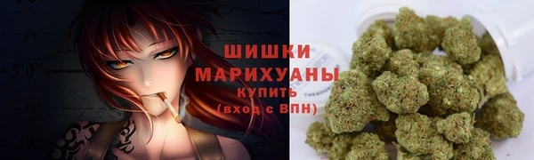 винт Осташков