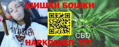 крисы Дубна
