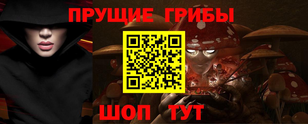 Псилоцибиновые грибы MAGIC MUSHROOMS  Назрань  Псилоцибиновые грибы мицелий 